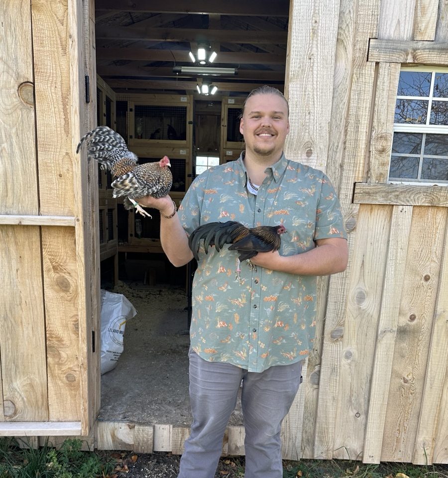 The owner of Hinck Bantams holding two bantam chickens outside the coop